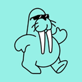 Walrus
